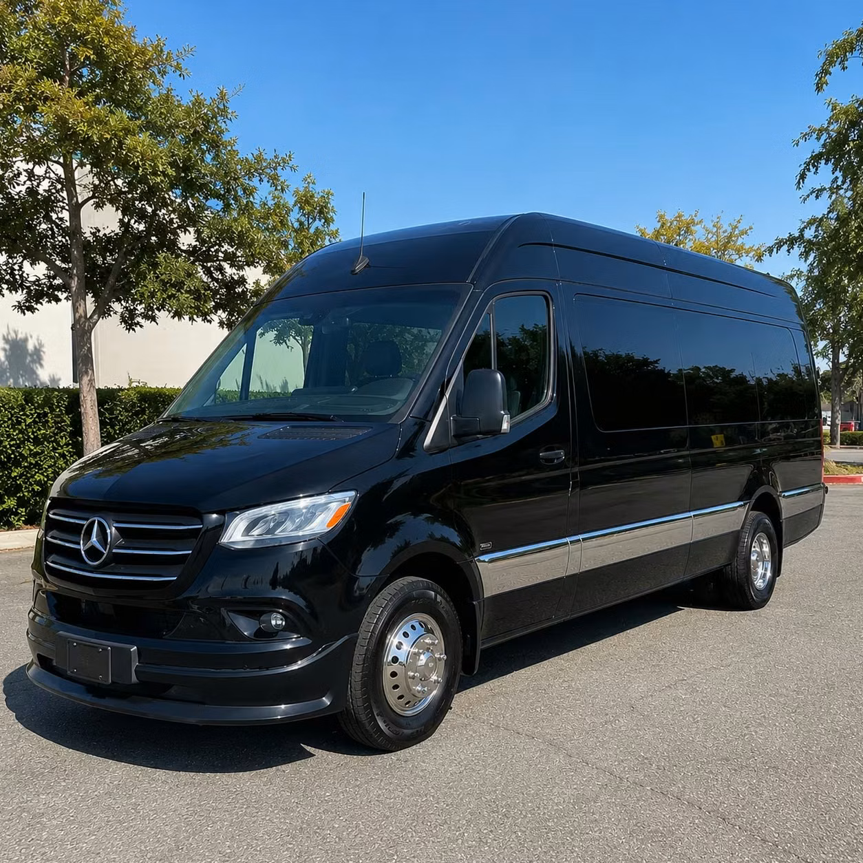 sprinter van with driver